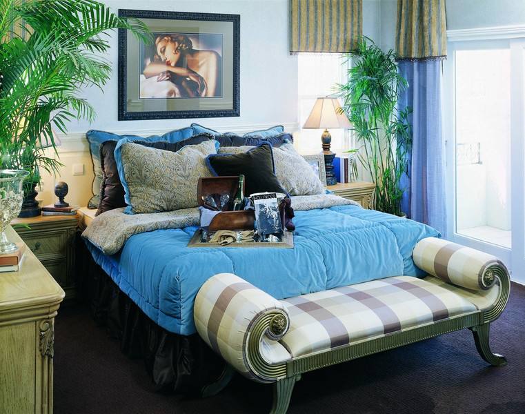 裝修風水：臥室植物哪種好？臥室植物風水有講究